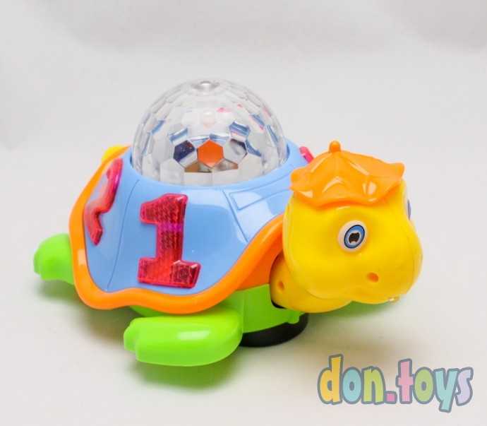 Черепаха музыкальная, арт. 388-16, фото 1