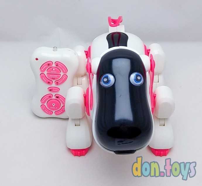 Робот радиоуправляемый, интерактивный «Киберпес Ки-Ки», русское озвучивание, световые эффекты, цвет, фото 15