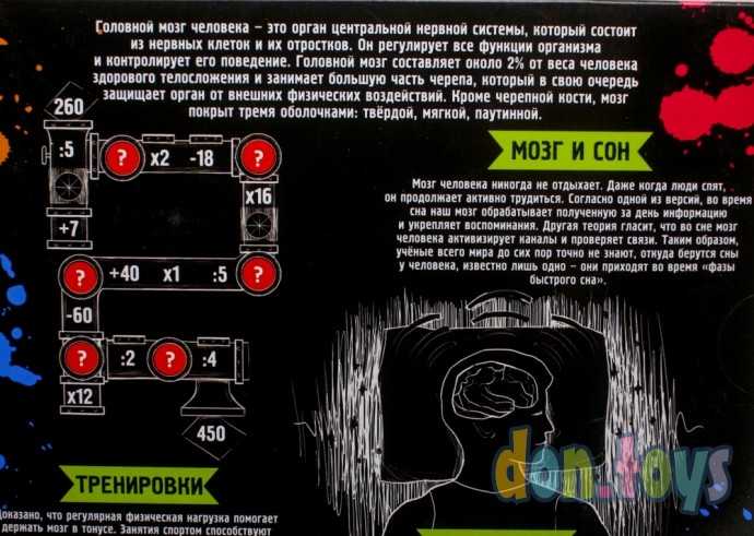 Головоломка металлическая «Мозг человека» набор 5 шт., арт. 3302583, фото 7