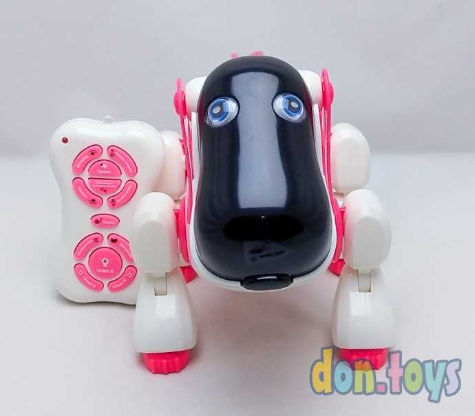 Робот радиоуправляемый, интерактивный «Киберпес Ки-Ки», русское озвучивание, световые эффекты, цвет, фото 14