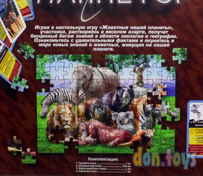 Карточная игра-викторина Животные нашей планеты, арт. G-JNP-01, фото 5