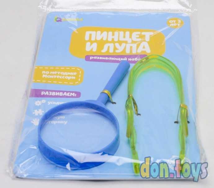 Набор для обучения «Пинцет и лупа», по методике Монтессори, арт. 5021994, фото 4