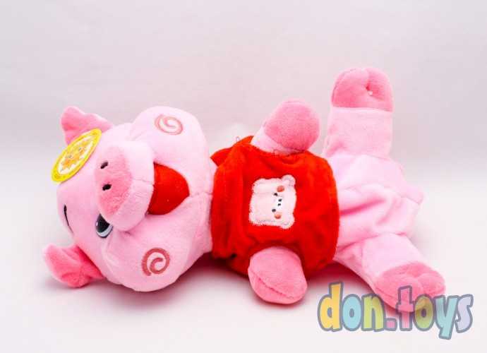 Сумка свинка, арт. 105052, фото 4