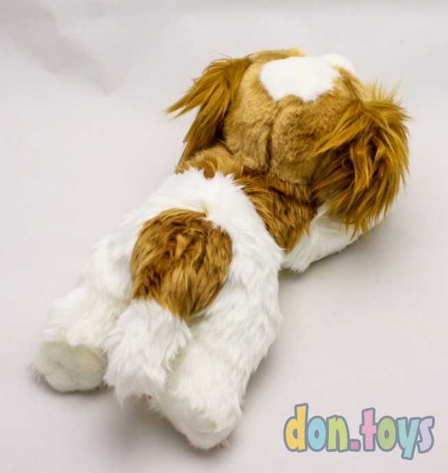 Мягконабивная игрушка Aurora Кинг чарльз спаниель 25 см, арт.24488, фото 3