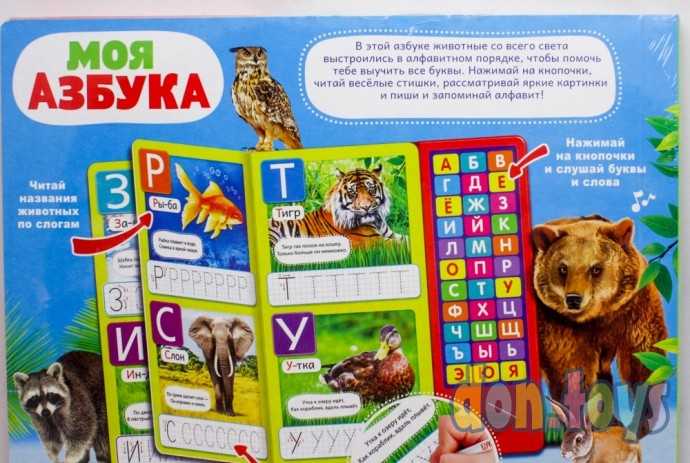 Музыкальная книга «Моя азбука», 16 страниц, арт. 4300146, фото 6