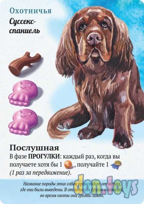 Настольная игра Прогулки с собаками, арт.915537, фото 4