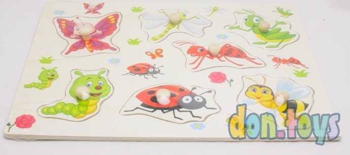 Деревянная рамка-вкладыш "НАСЕКОМЫЕ", арт.AN02346, фото 2