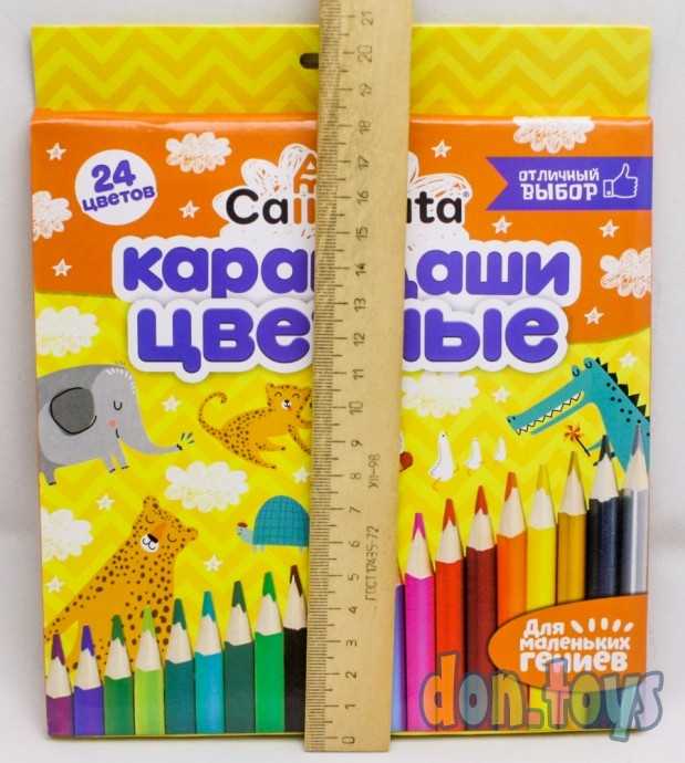 Карандаши 24 цвета, корпус деревянный, треугольный, в картонной коробке, арт. 1014642, фото 4