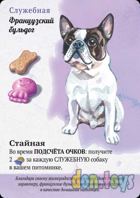 Настольная игра Прогулки с собаками, арт.915537, фото 5