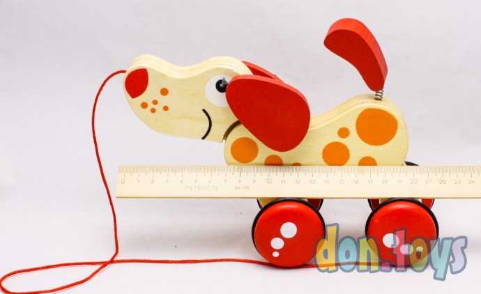 Деревянная игрушка Каталка Собачка, арт. MD0988, фото 4