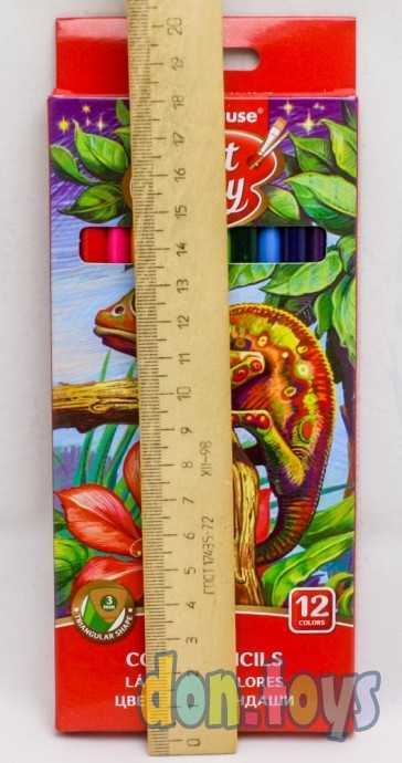 Карандаши 12 цветов ErichKrause ArtBerry премиум, арт. 1365493, фото 3