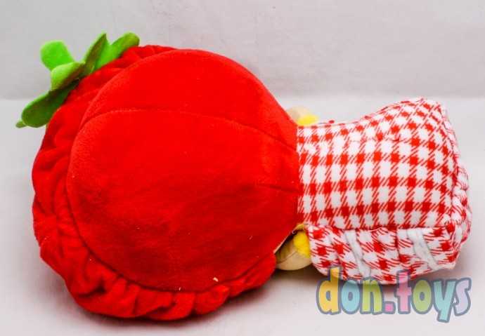 Кукла вывернушка мягконабивная, арт. 309-50, фото 9