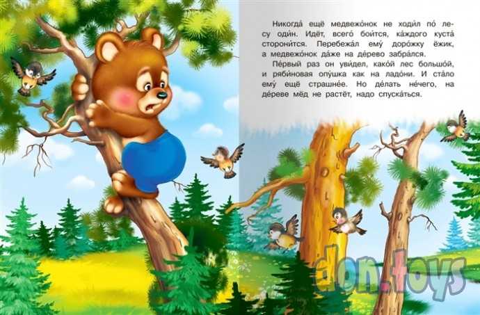 Читаем сами Сказка про Медвежонка, фото 3