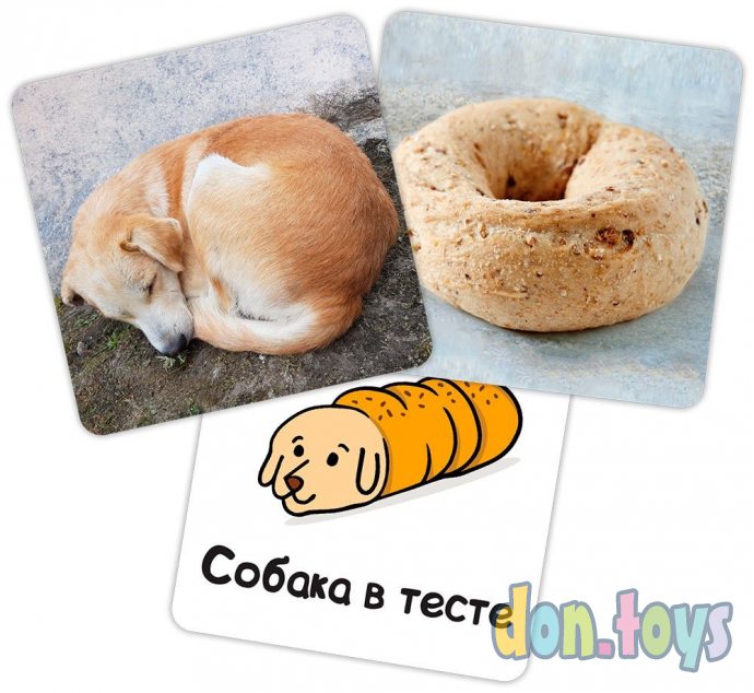 Настольная игра Бобик или бублик?, арт. 915436, (ПОД Заказ 2-4 недели), фото 3