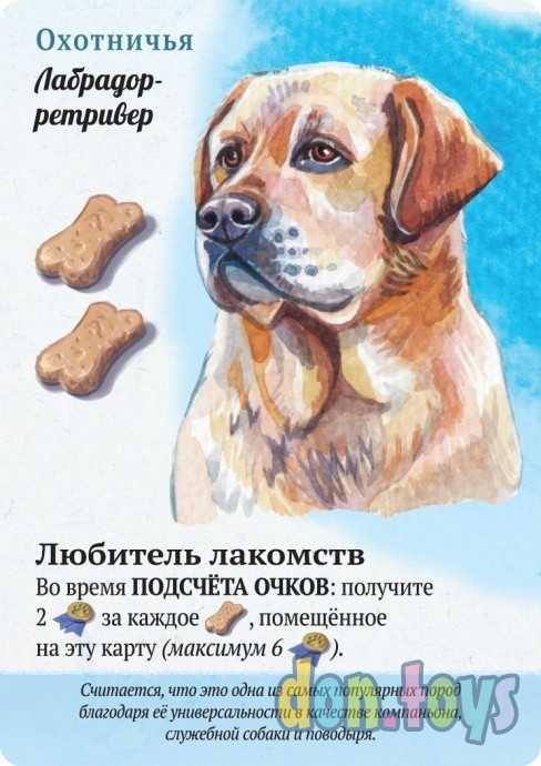 Настольная игра Прогулки с собаками, арт.915537, фото 3