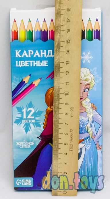 Лицензия. Карандаши 12 цветов "Эльза и Анна", заточенные, шестигранные, арт. 5012651, фото 2