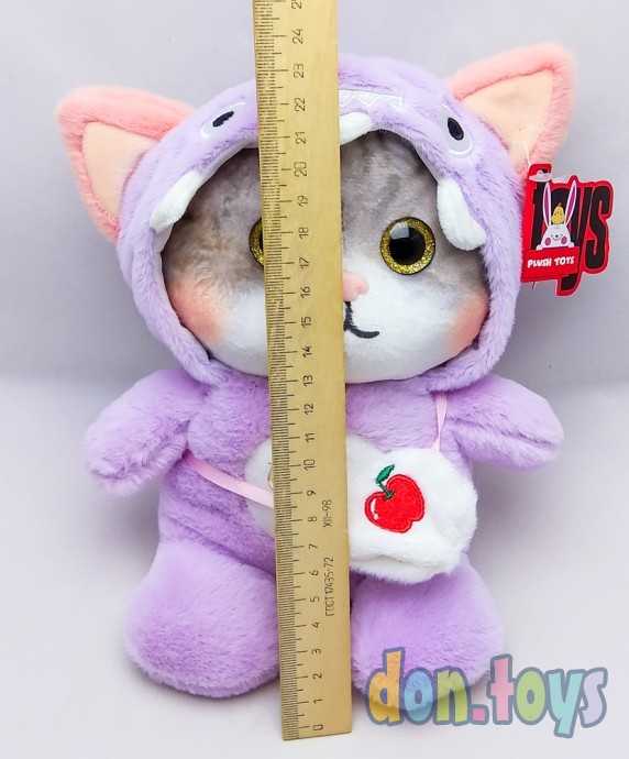 Котик в костюмчике с капюшоном, сумочка, фото 2