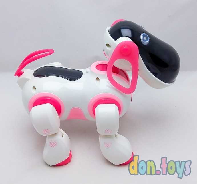 Робот радиоуправляемый, интерактивный «Киберпес Ки-Ки», русское озвучивание, световые эффекты, цвет, фото 16