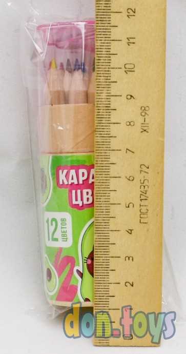 Набор цветных карандашей мини в тубусе «Авокотик», 12 шт, с точилкой, арт. 7688267, фото 2