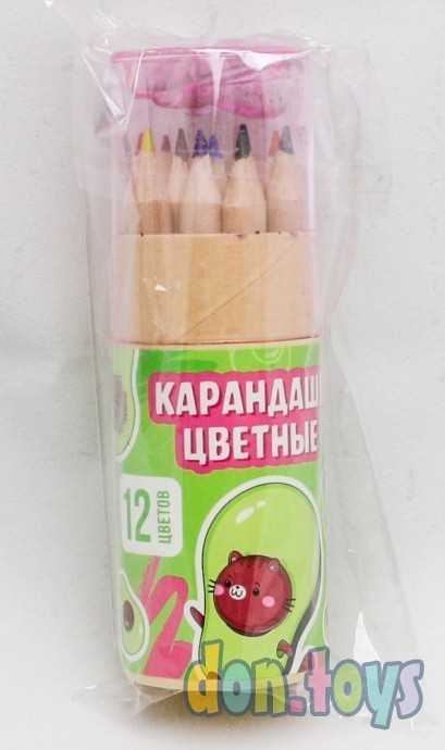 Набор цветных карандашей мини в тубусе «Авокотик», 12 шт, с точилкой, арт. 7688267, фото 1