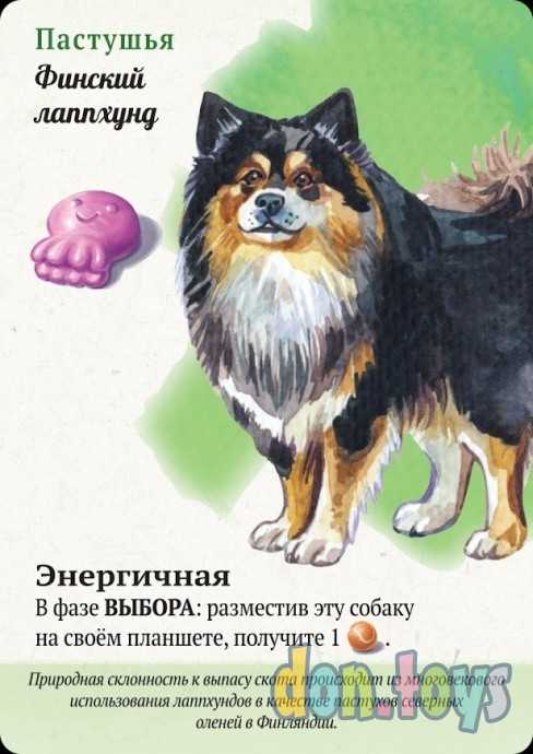 Настольная игра Прогулки с собаками, арт.915537, фото 8