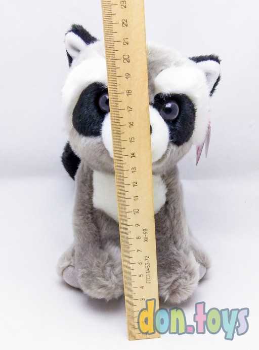 Мягкая игрушка Aurora Енот 22 см, арт. 63033, фото 3