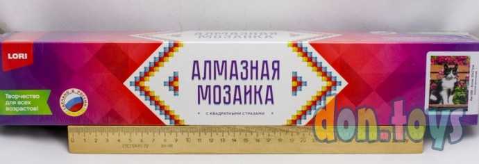 Алмазная мозаика LORI, 21*30 см полное заполнение "Котик" без подр., арт. Ам-088, фото 2
