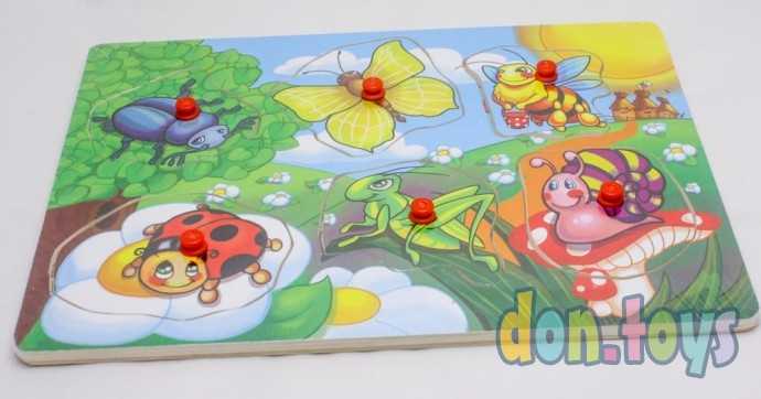 Деревянная рамка-вкладыш Веселые насекомые, арт. П-1027, фото 2