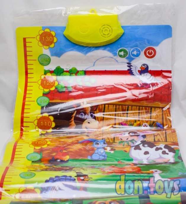 Ростомер настенный со звуком от 50 до 130 см, фото 1