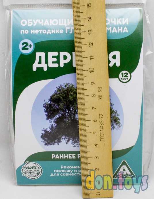 Обучающие карточки по методике Г. Домана «Деревья», 12 карт, А6, арт. 3871988, фото 3