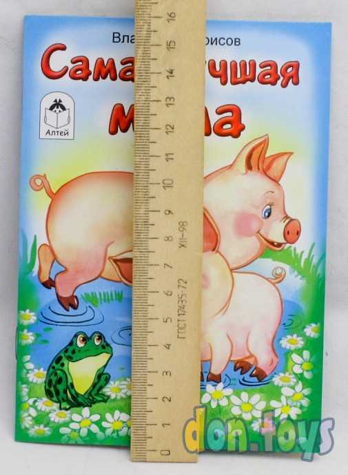 Самая лучшая мама. Борисов Владимир, фото 3