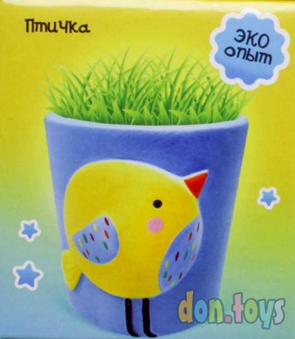 ​Набор для опытов «Выращиваем травку», птичка, арт. 6911658, фото 4
