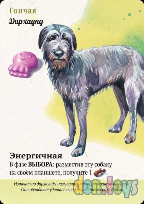 Настольная игра Прогулки с собаками, арт.915537, фото 7