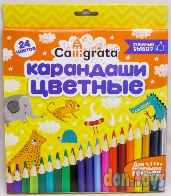 Карандаши 24 цвета, корпус деревянный, треугольный, в картонной коробке, арт. 1014642, фото 1