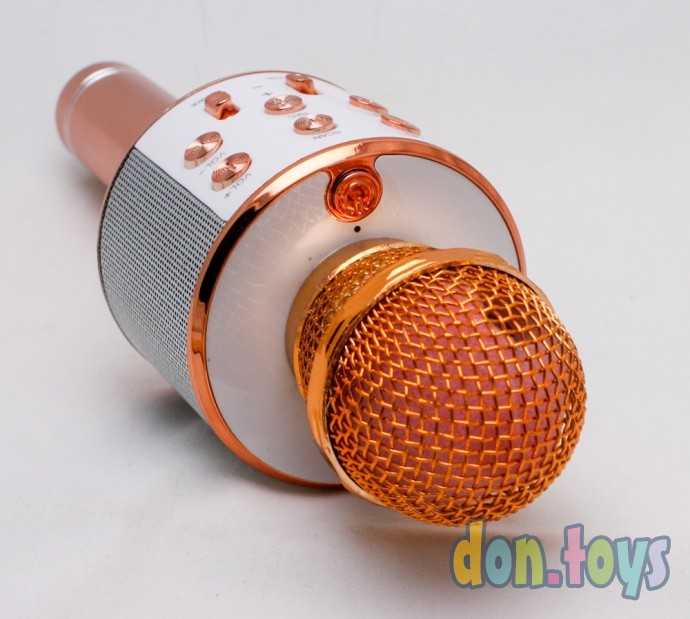 Микрофон с usb, золото, арт. WS-858, фото 9
