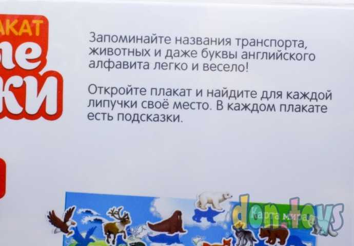 Весёлые липучки «Атлас животных», плакаты, арт. 5433199, фото 6