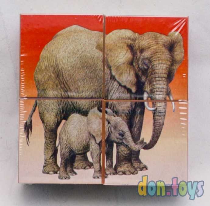 Кубики в картинках 03 (животные), арт. 00803, фото 2