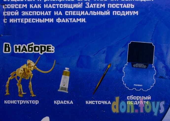 Набор для опытов «Ледниковая эпоха», конструктор-раскраска, Мамонт, арт. 4797634, фото 7