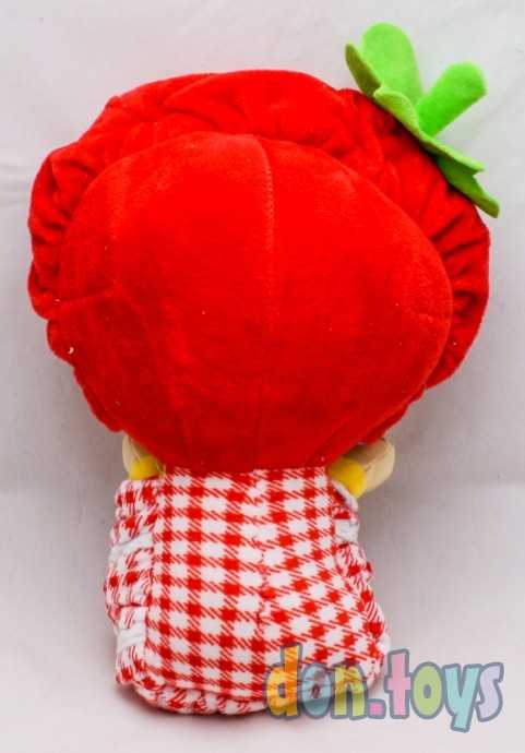 Кукла вывернушка мягконабивная, арт. 309-50, фото 11