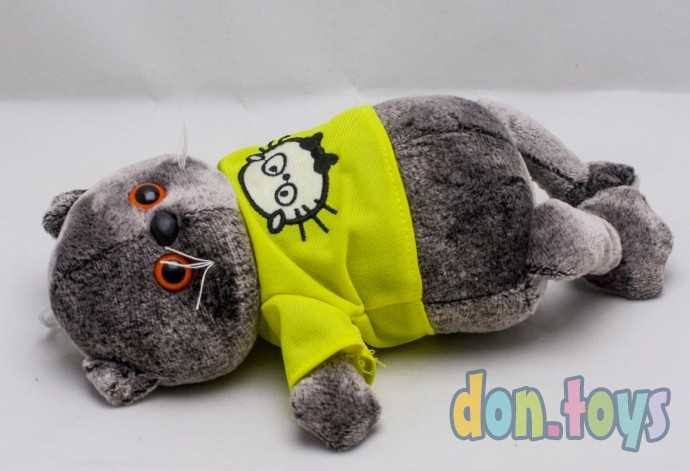 Кот в футболке 24 см, фото 3