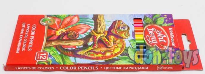 Карандаши 12 цветов ErichKrause ArtBerry премиум, арт. 1365493, фото 4