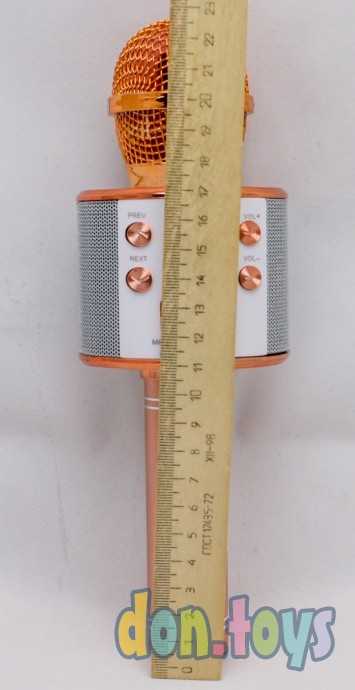 Микрофон с usb, золото, арт. WS-858, фото 7