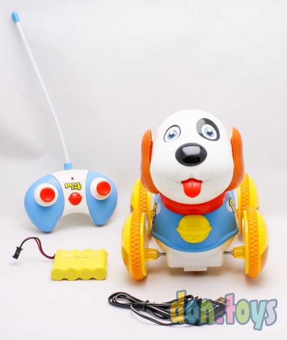 Собака DANCE DOG на р/у, на аккум, 24см, муз, свет, арт. 600B, фото 2