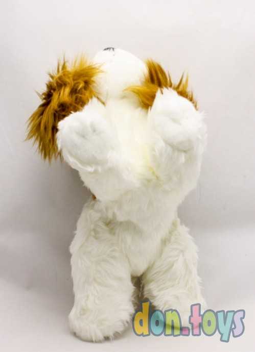 Мягконабивная игрушка Aurora Кинг чарльз спаниель 25 см, арт.24488, фото 6