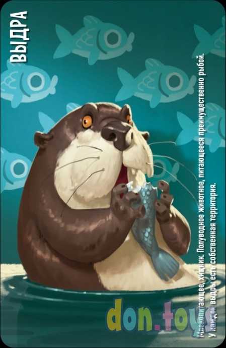 Настольная игра Similo: Животные, арт. 915546, фото 3