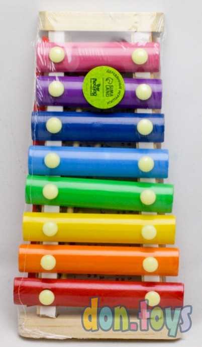 Игрушка музыкальная Металлофон, 8 тонов, арт. 454310, фото 1