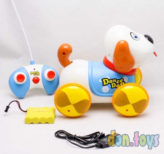Собака DANCE DOG на р/у, на аккум, 24см, муз, свет, арт. 600B, фото 5