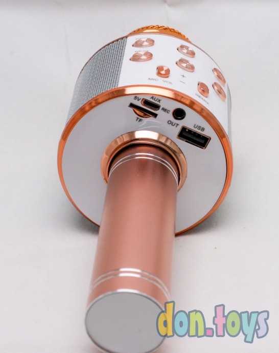 Микрофон с usb, золото, арт. WS-858, фото 10