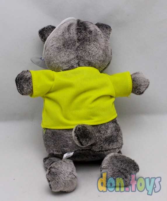 Кот в футболке 24 см, фото 5