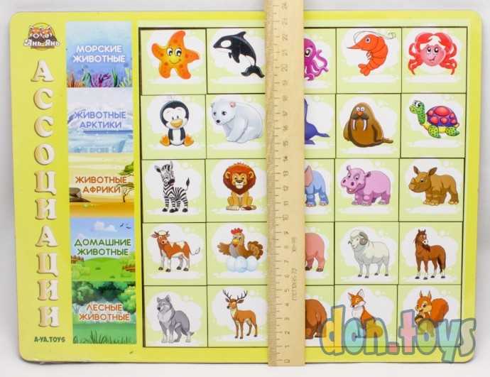 Сортер "Ассоциации. Виды животных", арт. 5215519, фото 2